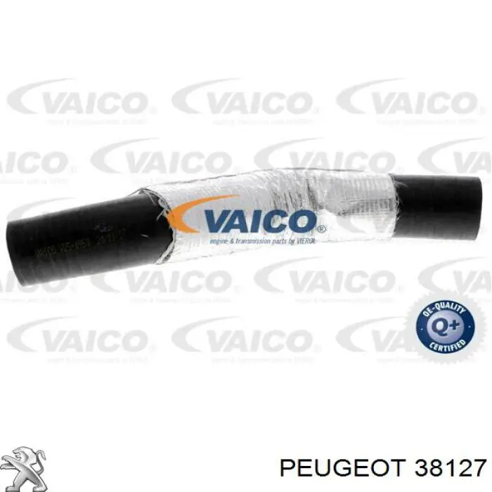 38127 Peugeot/Citroen Tubo (mangueira) de derivação de óleo de turbina
