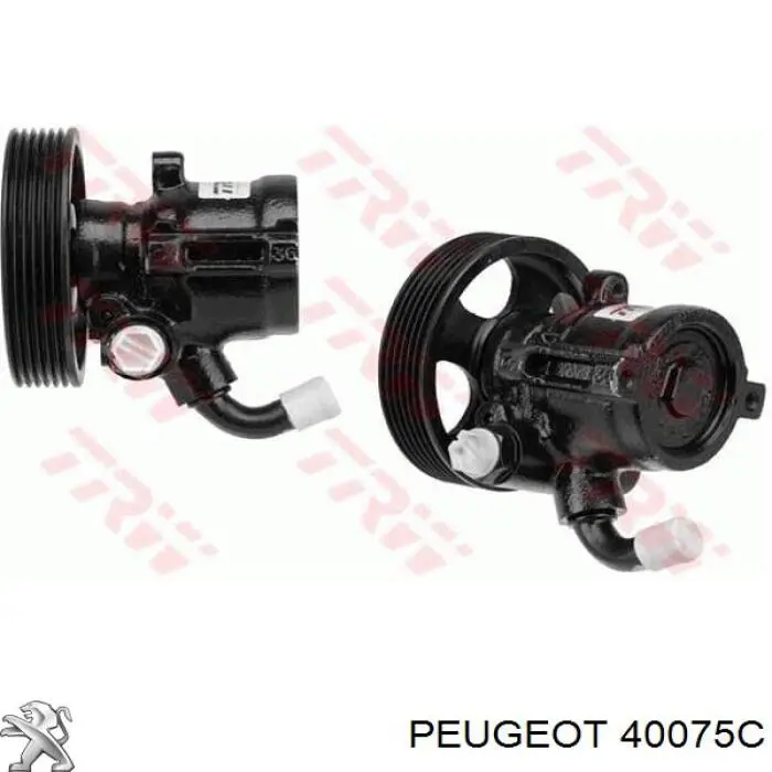 Bomba da Direção hidrâulica assistida Peugeot/Citroen 40075C preço, a partir de 64,70 USD