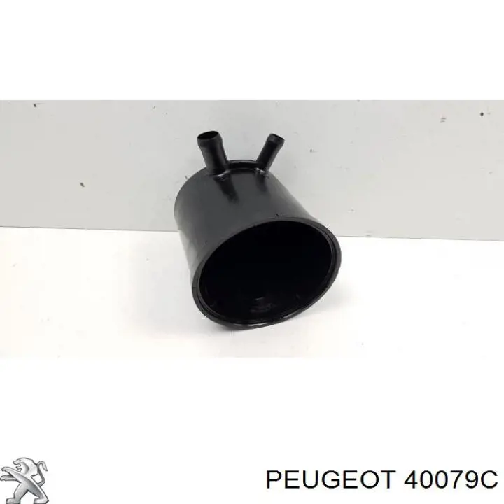 Compre 40079C Peugeot/Citroen Bomba da Direção hidrâulica assistida