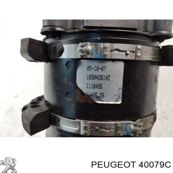 Bomba da Direção hidrâulica assistida 40079C Peugeot/Citroen