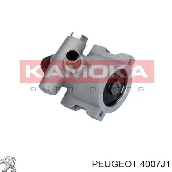 Bomba da Direção hidrâulica assistida 4007J1 Peugeot/Citroen