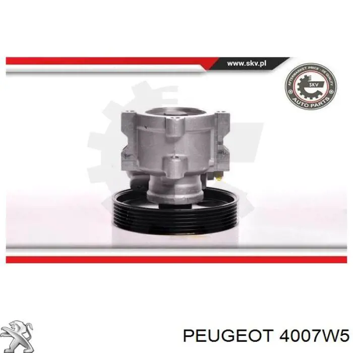 Compre 4007W5 Peugeot/Citroen Bomba da Direção hidrâulica assistida