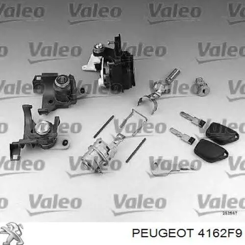 4162F9 Peugeot/Citroen 