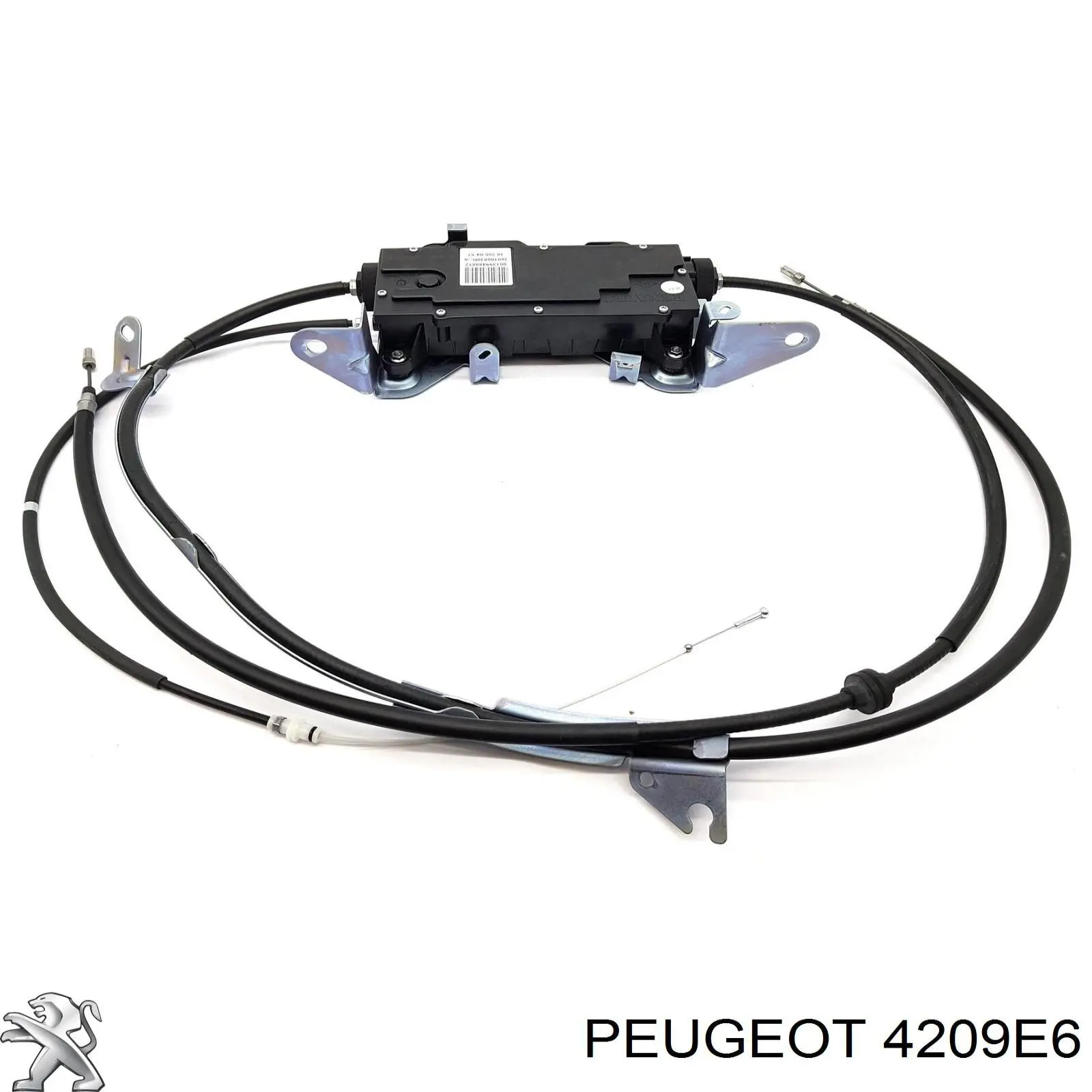 Compre 4209E6 Peugeot/Citroen Proteção do freio de disco dianteiro esquerdo