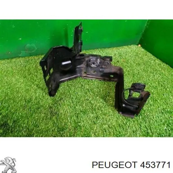 453771 Peugeot/Citroen 
