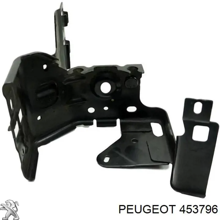 453796 Peugeot/Citroen Vedante de bomba de vácuo