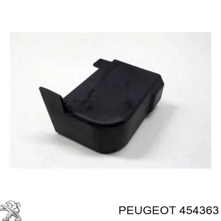 454363 Peugeot/Citroen 