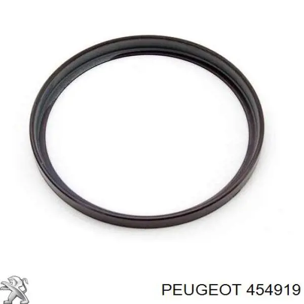 454919 Peugeot/Citroen Anel de ABS