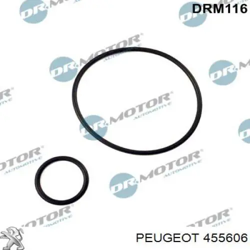 455606 Peugeot/Citroen Vedante de bomba de vácuo