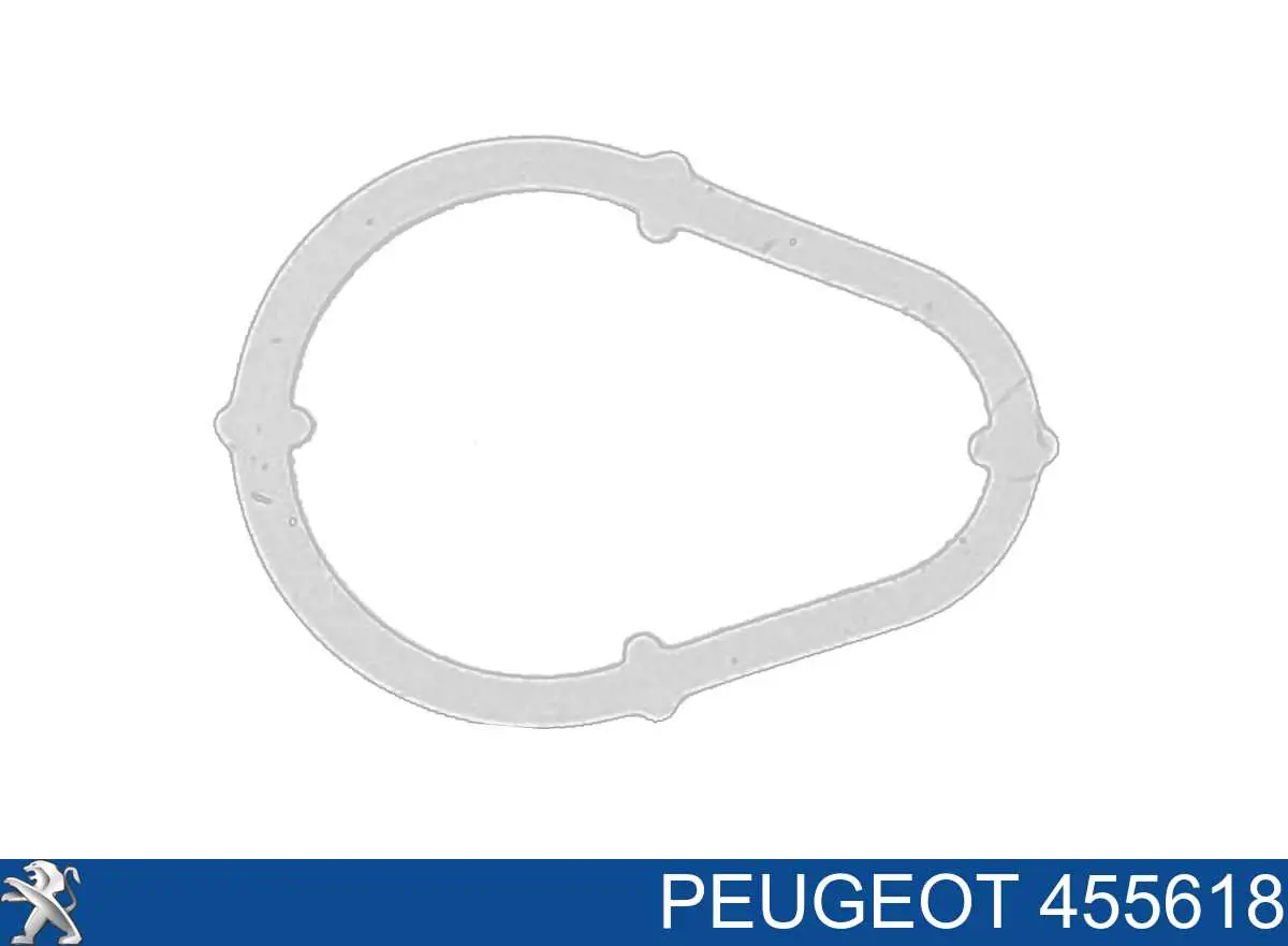 455618 Peugeot/Citroen Vedante de bomba de vácuo