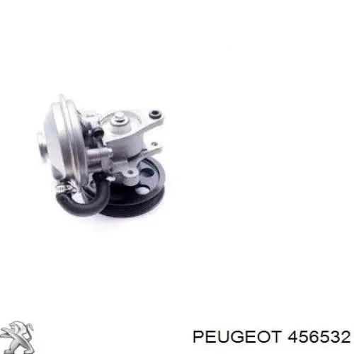 456532 Peugeot/Citroen Bomba a vácuo
