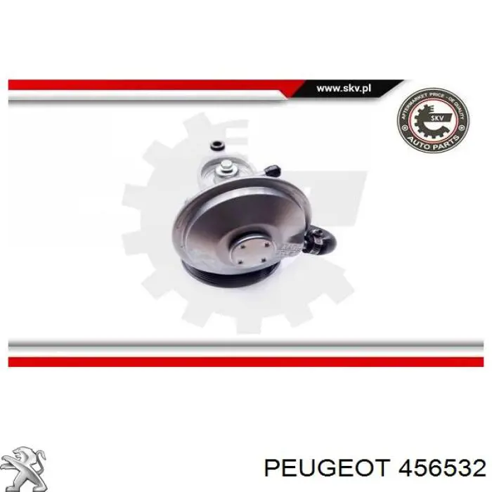 Compre 456532 Peugeot/Citroen Bomba a vácuo