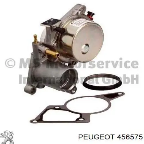 456575 Peugeot/Citroen Bomba a vácuo