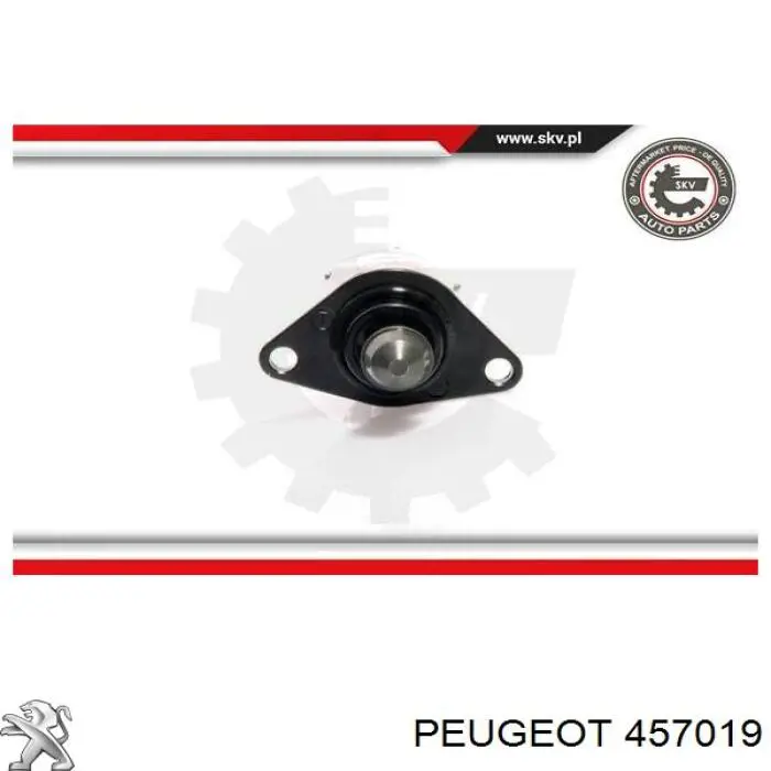 Vedante de bomba de vácuo Peugeot/Citroen 457019 preço, a partir de 19,02 USD