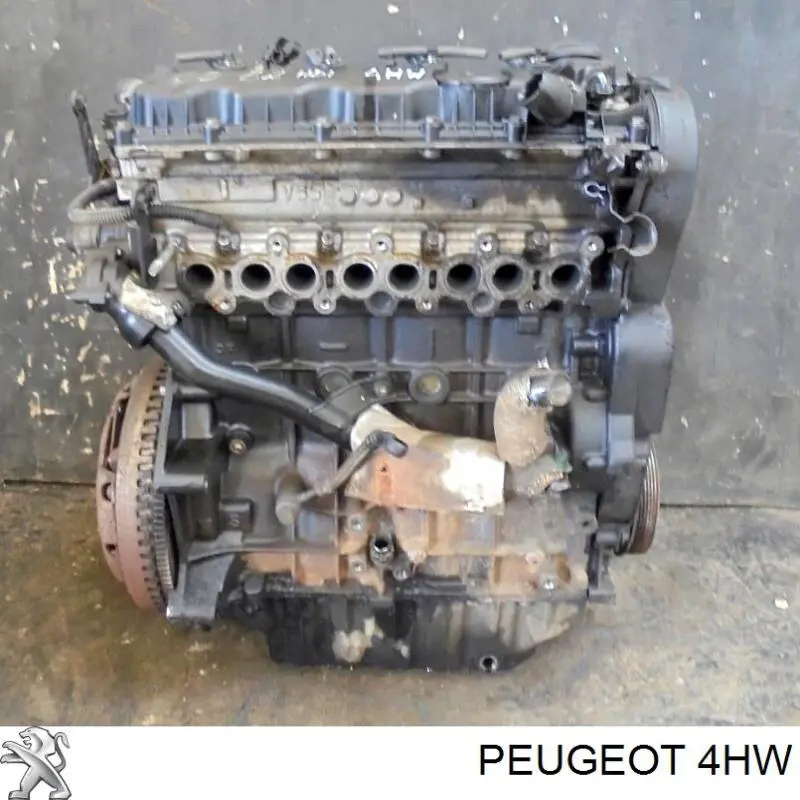 Motor montado Fiat/Alfa/Lancia 4HW preço, a partir de 2097,56 USD