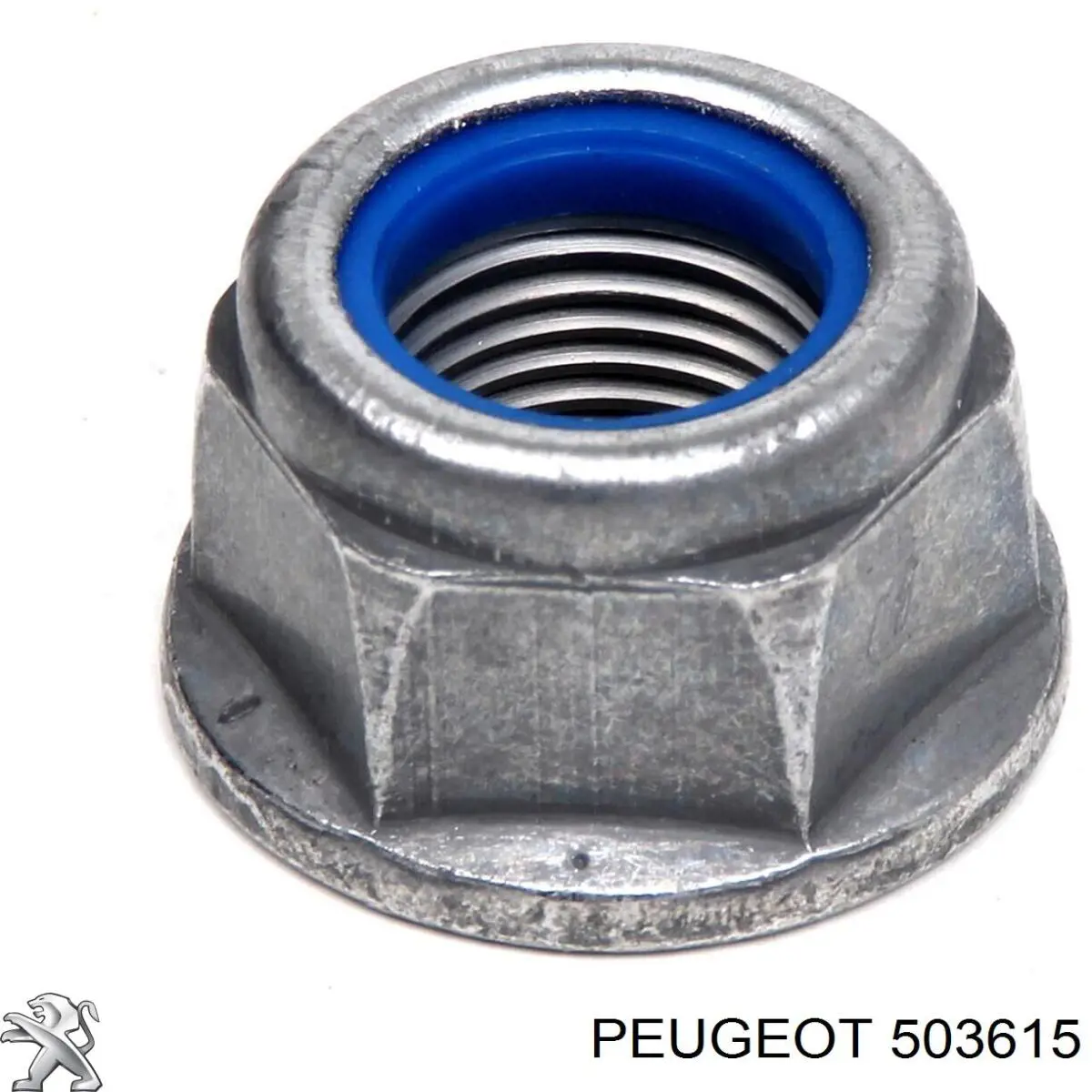Porca da haste de amortecedor dianteiro Peugeot/Citroen 503615 preço, a partir de 3,38 USD