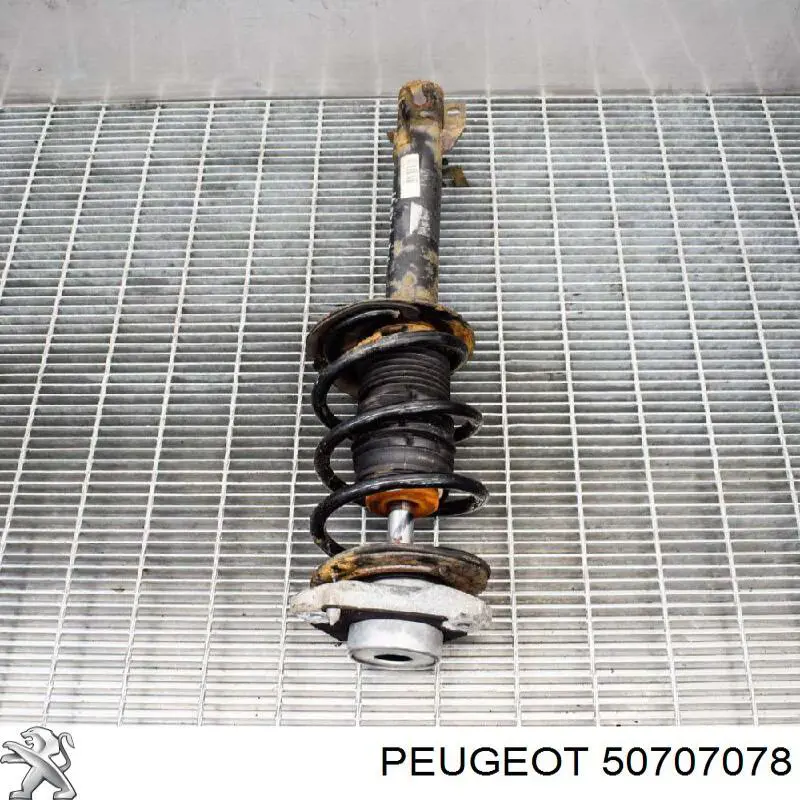 50707078 Peugeot/Citroen Amortecedor dianteiro