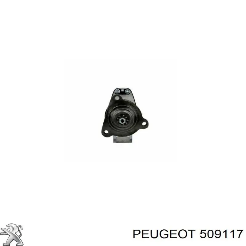 509117 Peugeot/Citroen Parafuso (porca) de fixação