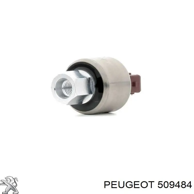 Compre 509484 Peugeot/Citroen Bucha de estabilizador dianteiro