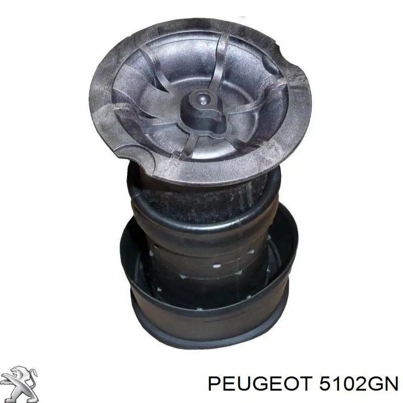 Compre 5102GN Peugeot/Citroen Coxim pneumático (suspensão de lâminas pneumática) do eixo traseiro