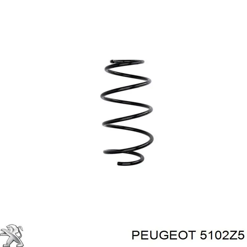 5102Z5 Peugeot/Citroen Mola traseira