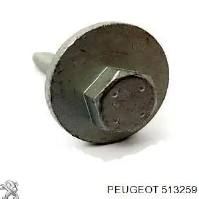 Parafuso de fixação de braço oscilante de inclinação traseiro, interno Peugeot/Citroen 513259 preço, a partir de 8,05 USD