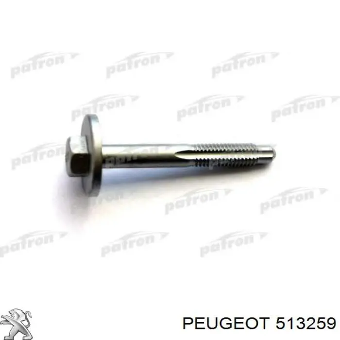 Compre 513259 Peugeot/Citroen Parafuso de fixação de braço oscilante de inclinação traseiro, interno