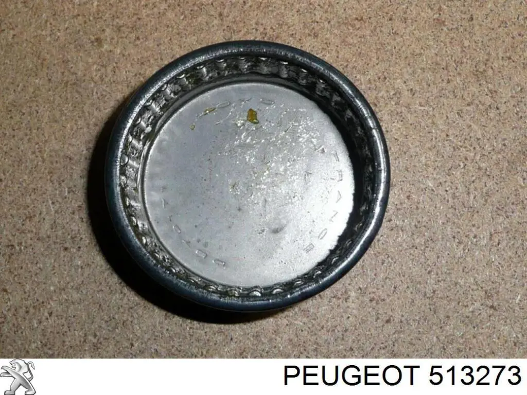 Compre 513273 Peugeot/Citroen Bloco silencioso de viga traseira (de plataforma veicular)