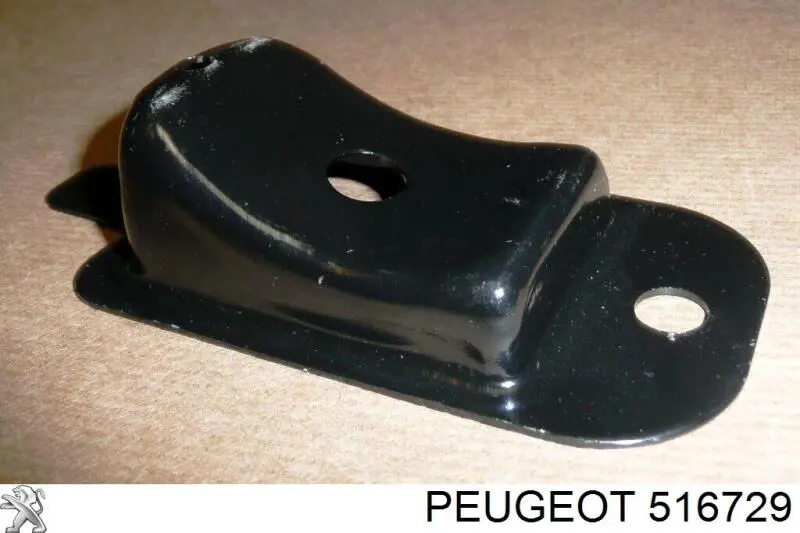 516729 Peugeot/Citroen Consola de grade de proteção da avalanca traseira