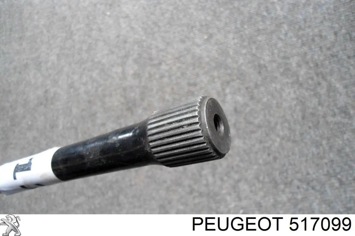 Estabilizador traseiro Peugeot/Citroen 517099 preço, a partir de 49,50 USD