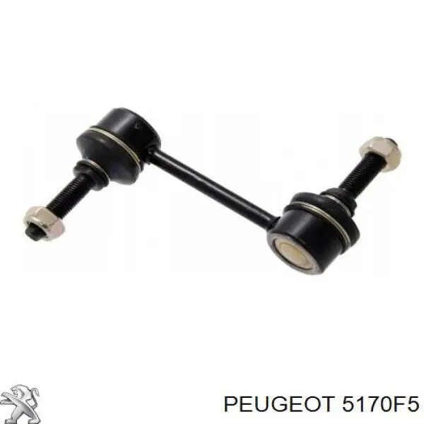5170F5 Peugeot/Citroen Estabilizador traseiro