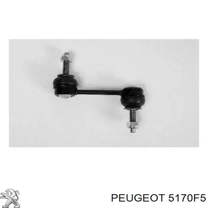 Estabilizador traseiro Peugeot/Citroen 5170F5 preço, a partir de 331,36 USD