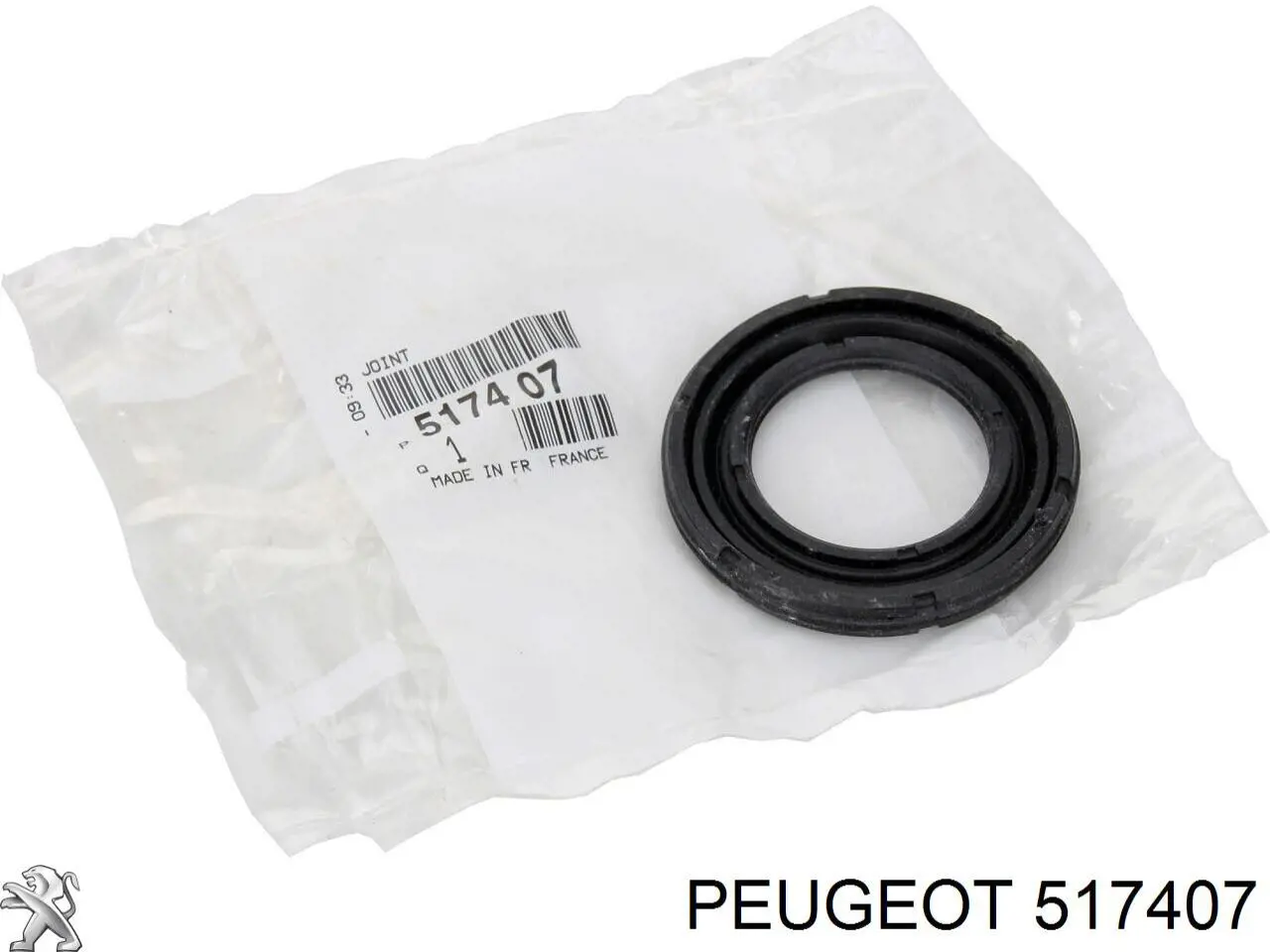 517407 Peugeot/Citroen Bloco silencioso de viga traseira (de plataforma veicular)