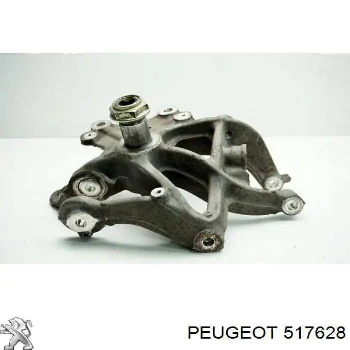 517628 Peugeot/Citroen Pino moente (extremidade do eixo) traseiro esquerdo