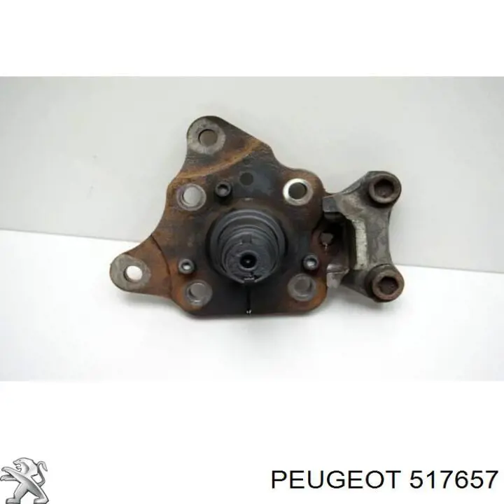 517657 Peugeot/Citroen Pino moente (extremidade do eixo) traseiro esquerdo