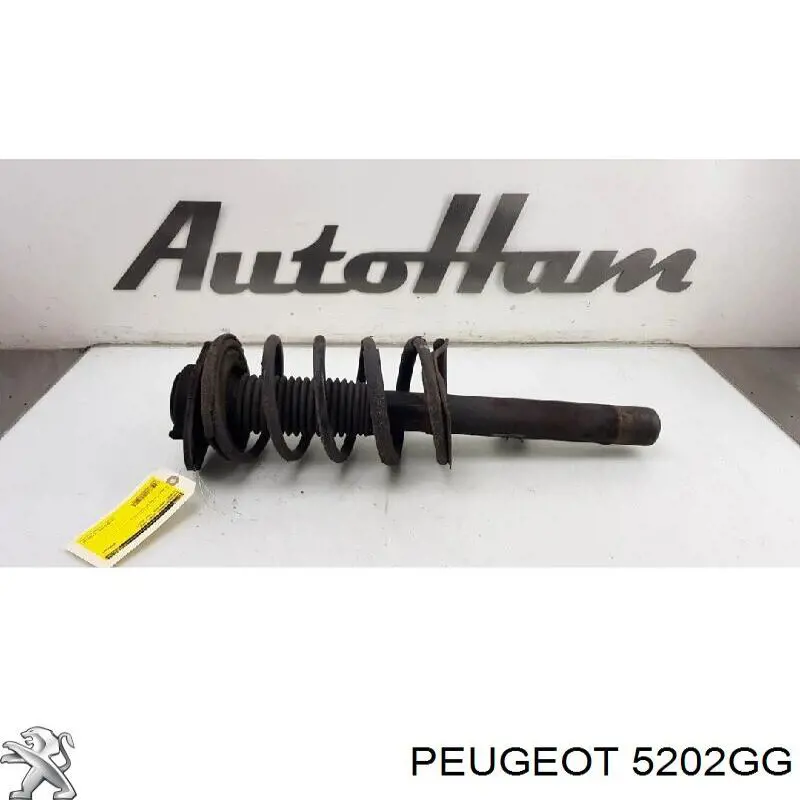 Amortecedor dianteiro esquerdo Peugeot/Citroen 5202GG preço, a partir de 68,04 USD
