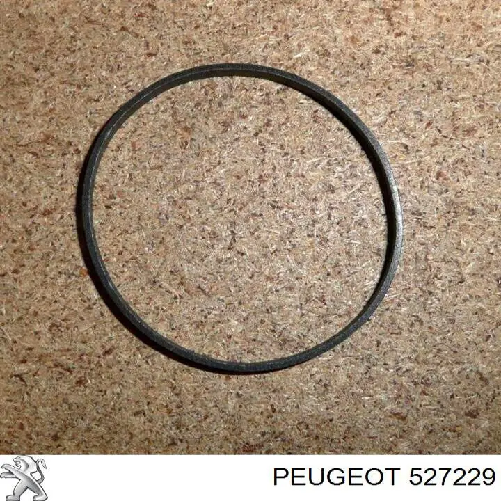 Anel de compressão de cilindro de amortecedor Peugeot/Citroen 527229 preço, a partir de 6,78 USD