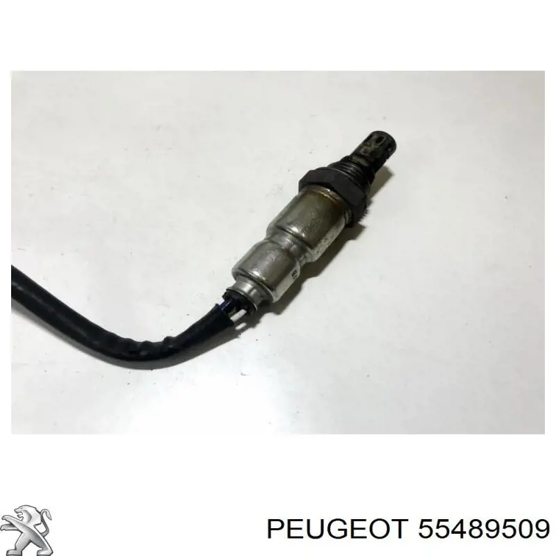 Compre 55489509 General Motors Sonda lambda, sensor de oxigênio