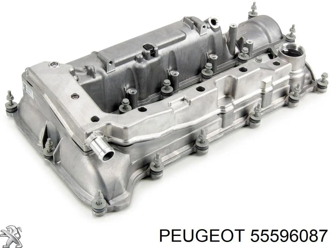 Tampa de válvulas General Motors 25203562