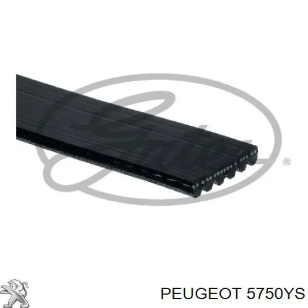 Correia dos conjuntos de transmissão Peugeot/Citroen 5750YS preço, a partir de 15,06 USD