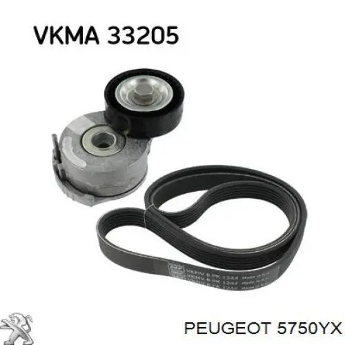 Compre 5750YX Peugeot/Citroen Correia dos conjuntos de transmissão