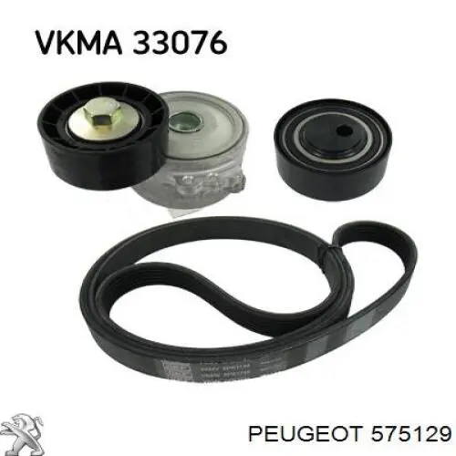 Compre 575129 Peugeot/Citroen Rolo parasita da correia de transmissão