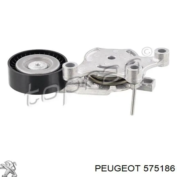 575186 Peugeot/Citroen Reguladora de tensão da correia de transmissão