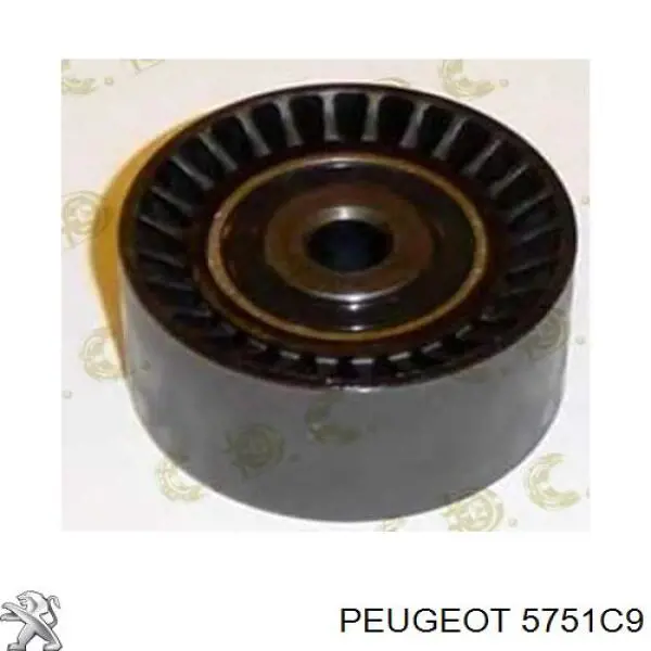 5751C9 Peugeot/Citroen Rolo parasita da correia de transmissão