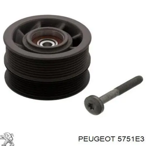 Compre 1611422780 Peugeot/Citroen Rolo de reguladora de tensão da correia de transmissão