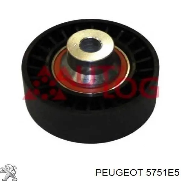 Compre 5751E5 Peugeot/Citroen Rolo parasita da correia de transmissão