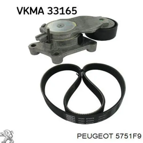 Reguladora de tensão da correia de transmissão Peugeot/Citroen 5751F9 preço, a partir de 51,08 USD