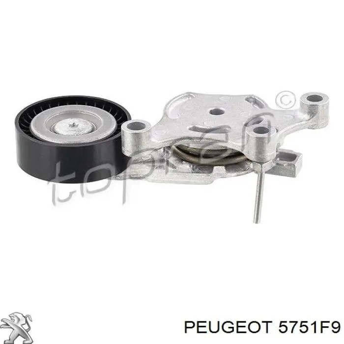 Compre 5751F9 Peugeot/Citroen Reguladora de tensão da correia de transmissão