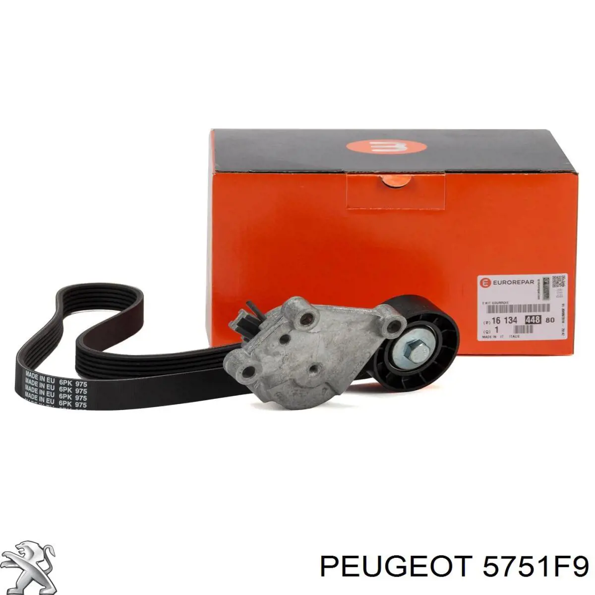 5751F9 Peugeot/Citroen Reguladora de tensão da correia de transmissão