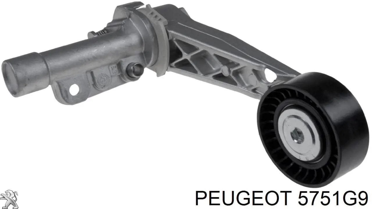 Reguladora de tensão da correia de transmissão Peugeot/Citroen 5751G9 preço, a partir de 37,94 USD